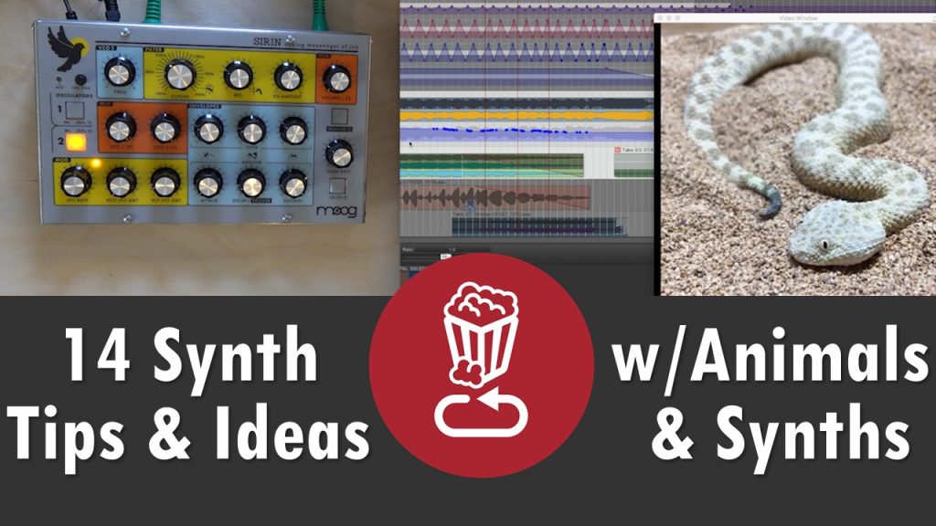 Animals and synths tips and ideas