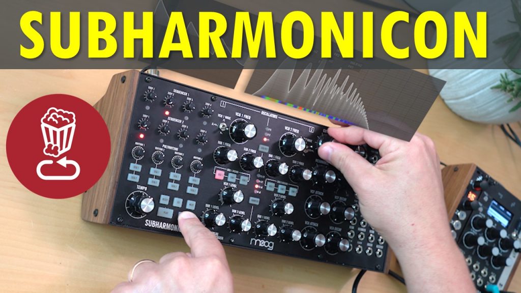 Moog Subharmonicon review and tutorial