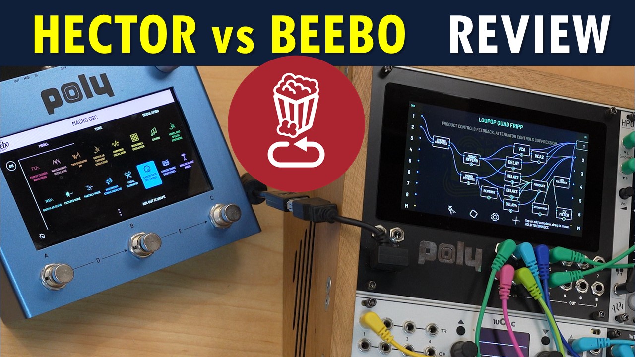 Hector vs Beebo review tutorial